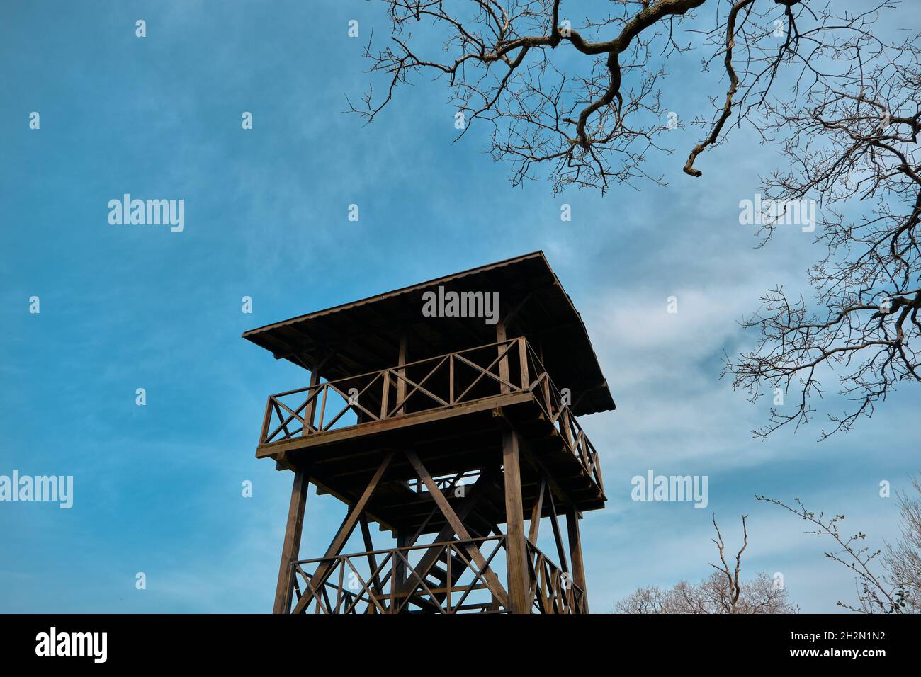A wooden house made for bird watching in Karacabey floodplain and forest with magnificent blue sky background Stock Photo