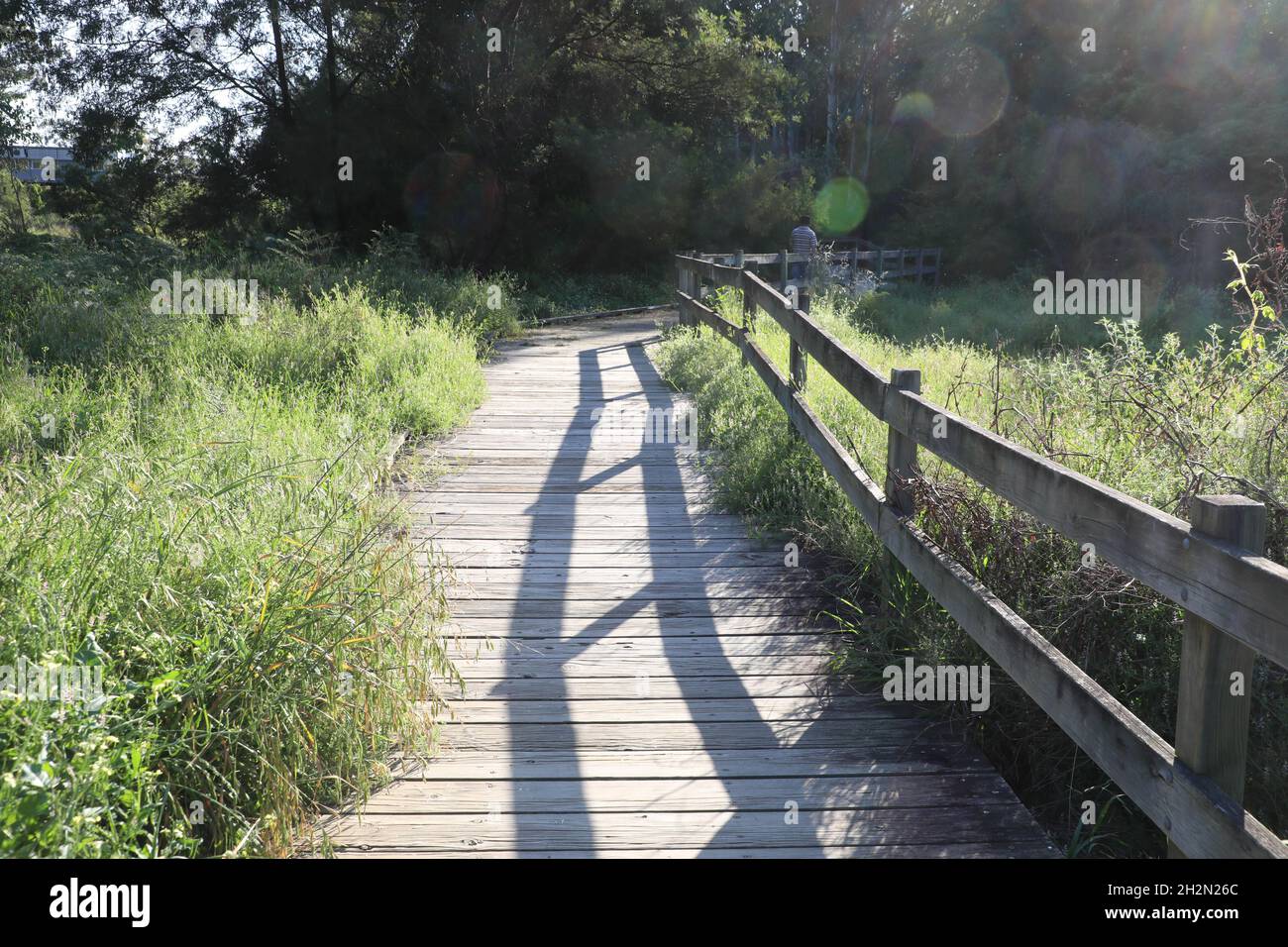 Toongabbie west hires stock photography and images Alamy