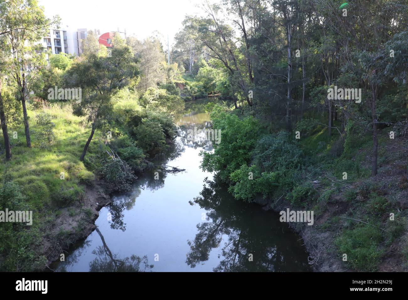 Toongabbie Creek viewed from Mons Road, Northmead, Sydney, NSW, Australia Stock Photo Alamy