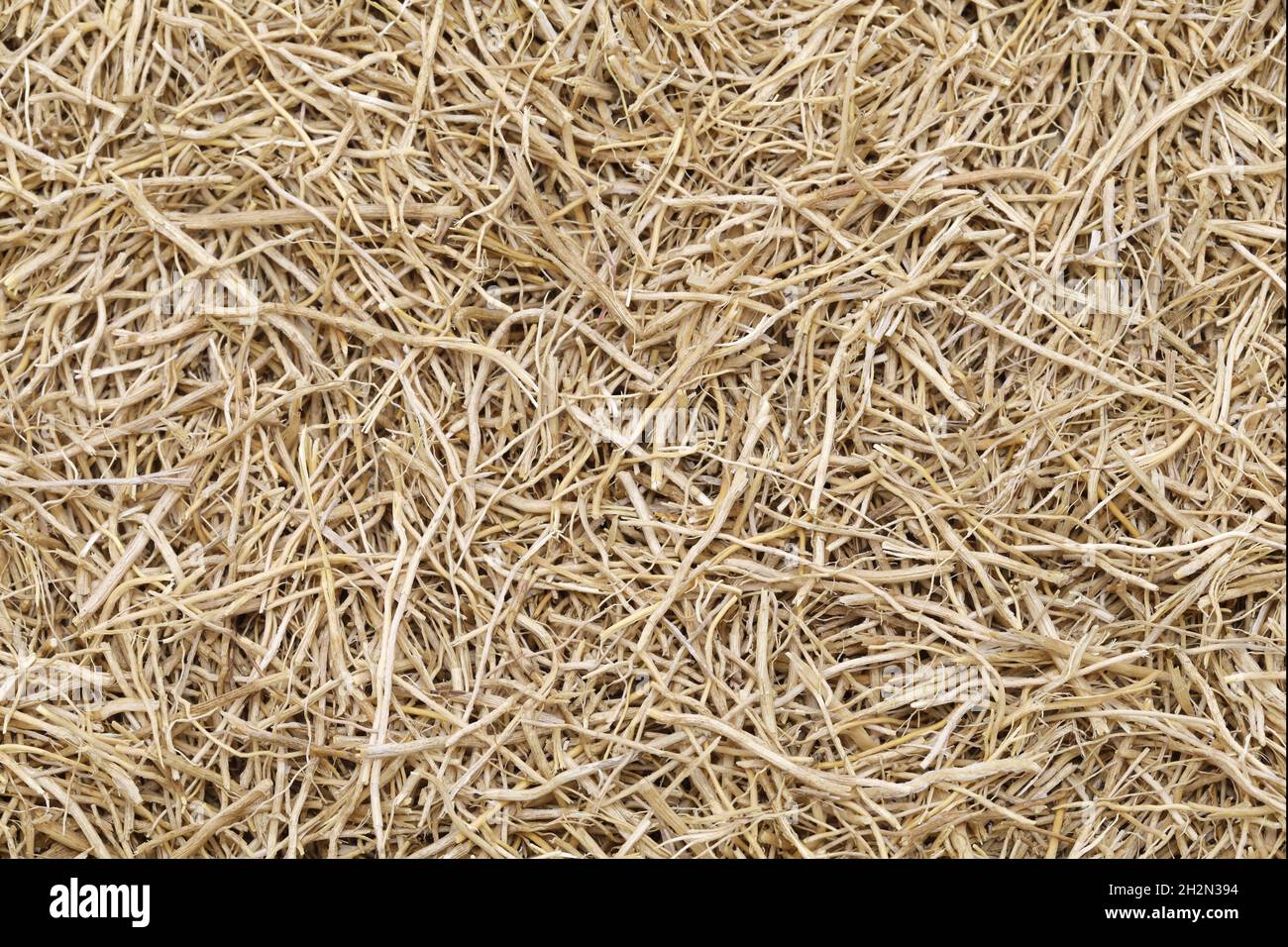 dried vetiver roots, fragrance material Stock Photo Alamy
