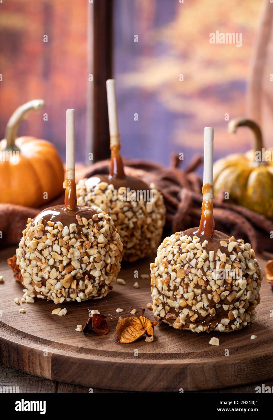 Caramel apples coated with nuts on a wooden platter with autumn background by a window Stock Photo