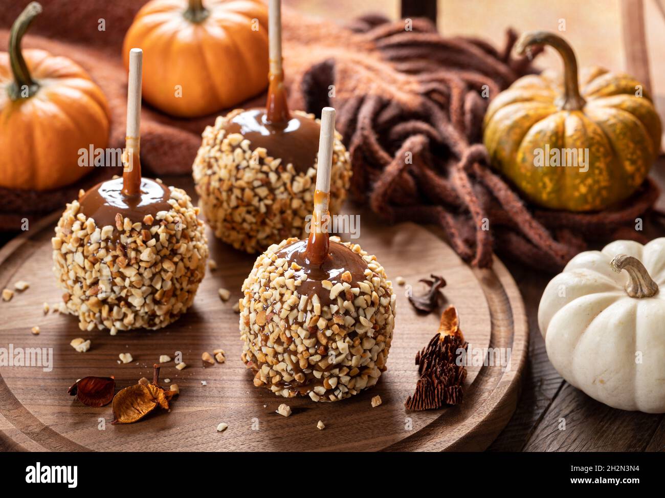Caramel apples coated with nuts on a wooden platter with mini pumpkins in background Stock Photo