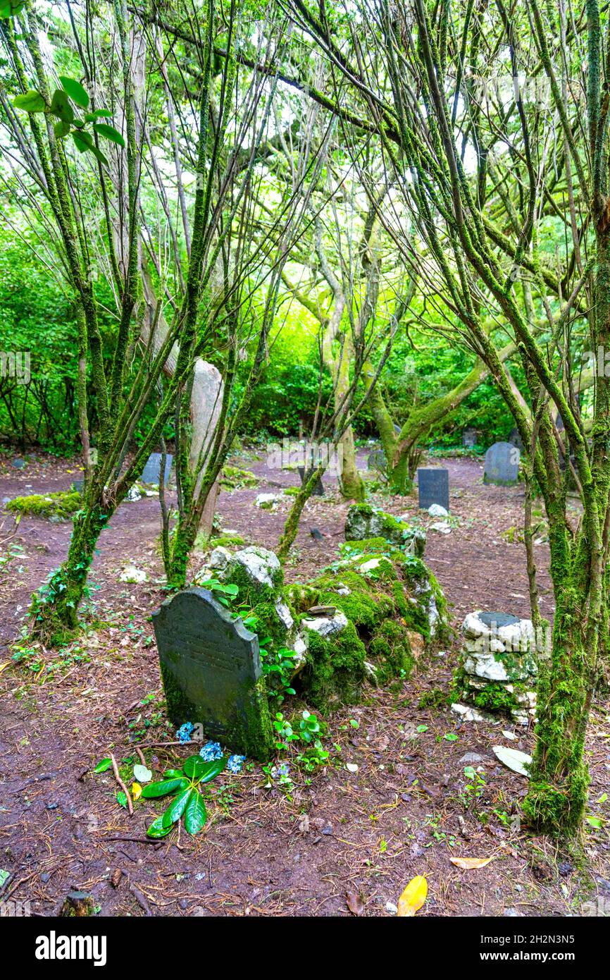 The Dogs' Cemetery in Morfa Harlech Nature Reserve near Portmeirion, Snowdonia, Wales, UK Stock Photo