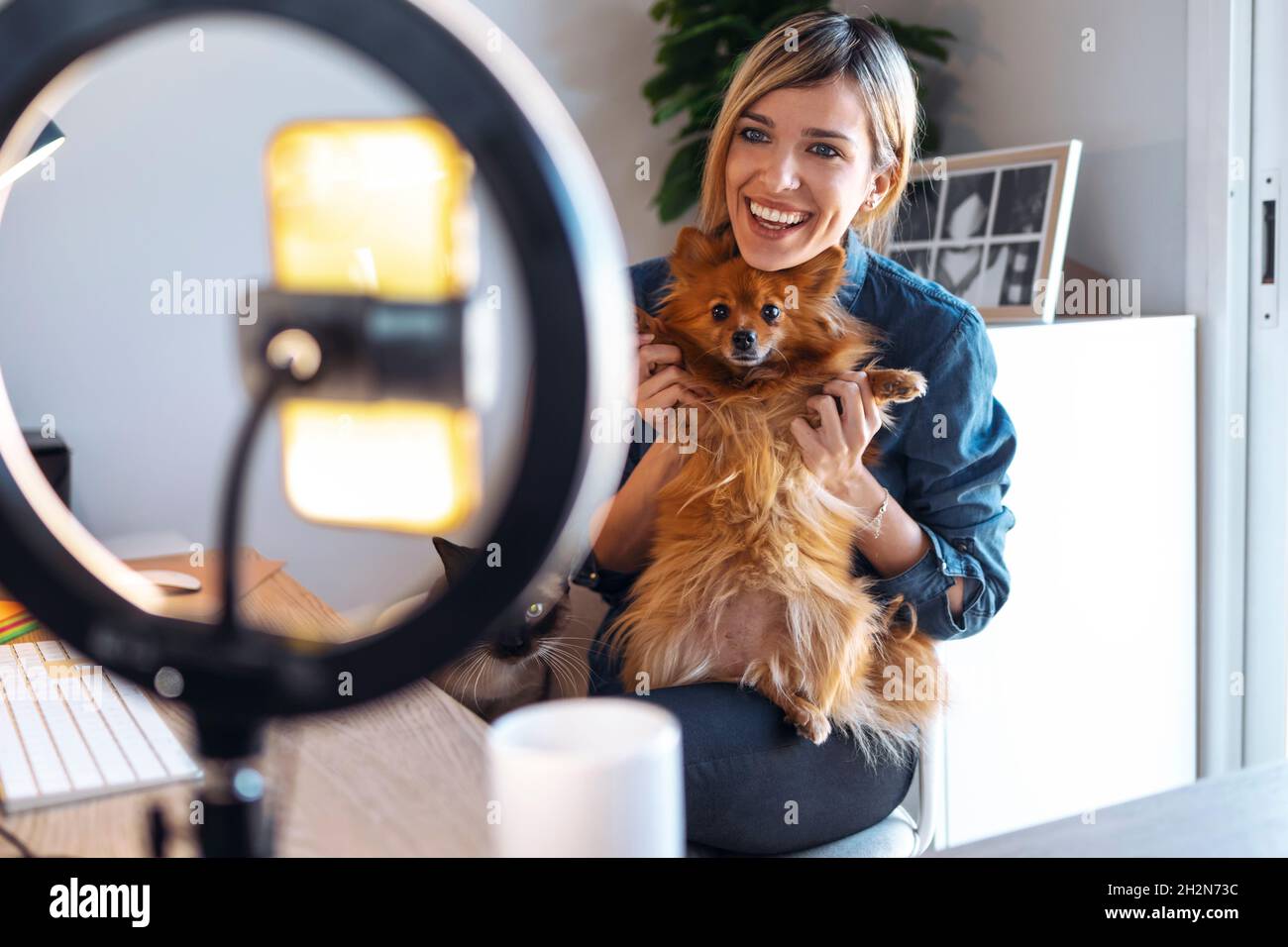 Smiling female influencer with Pomeranian dog vlogging at home Stock Photo