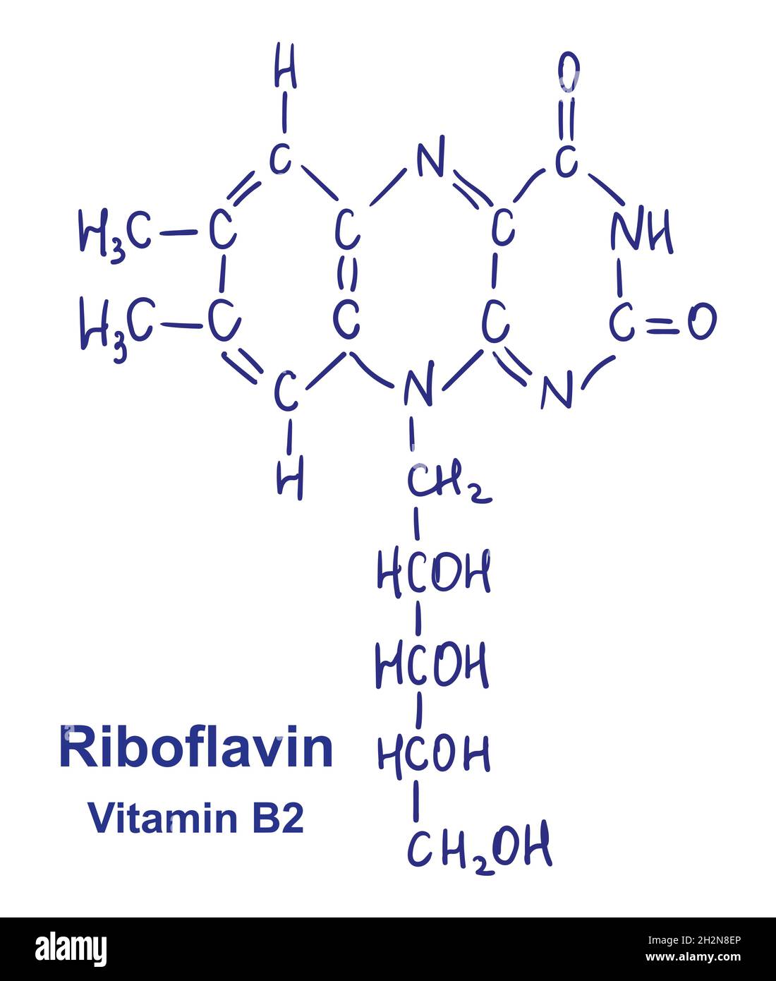 Riboflavin chemical structure. Vector illustration Hand drawn Stock