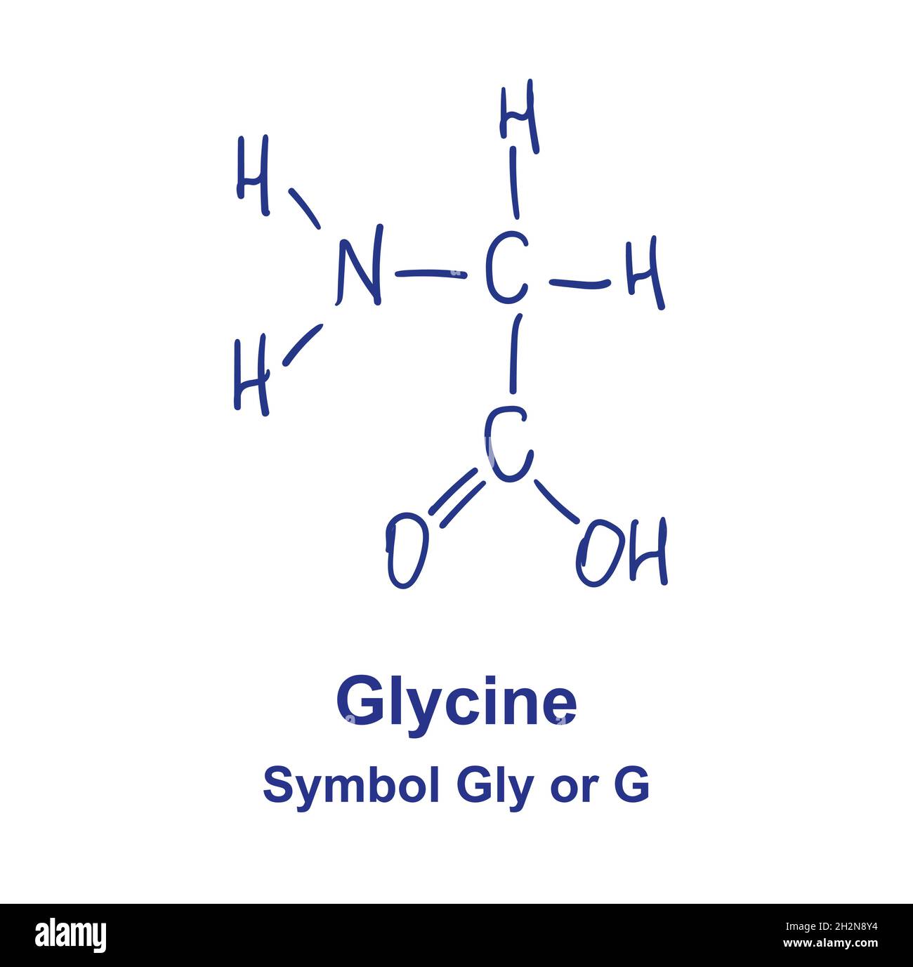Glycine chemical structure. Vector illustration Hand drawn. Stock Vector