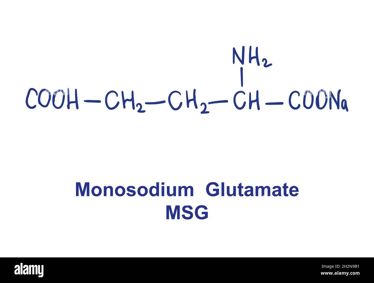 Monosodium Glutamate MSG Chemical Structure Vector Illustration Hand 