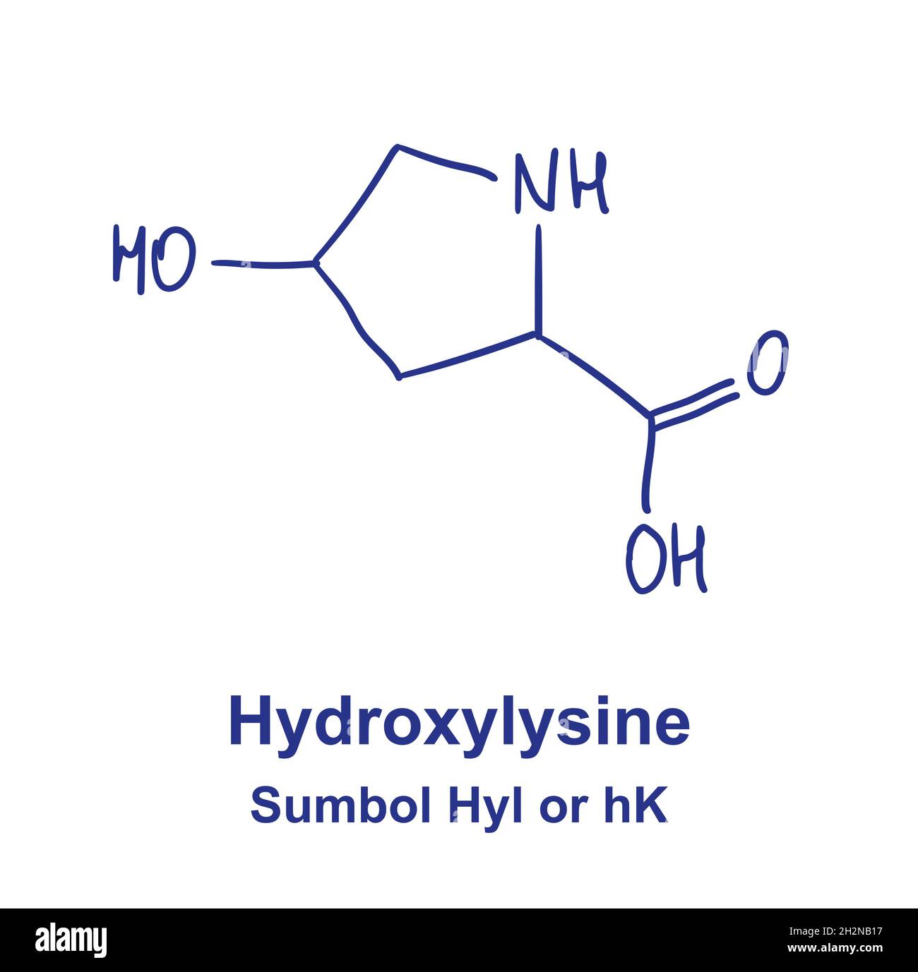 Hydroxylysine chemical structure. Vector illustration Hand drawn Stock Vector