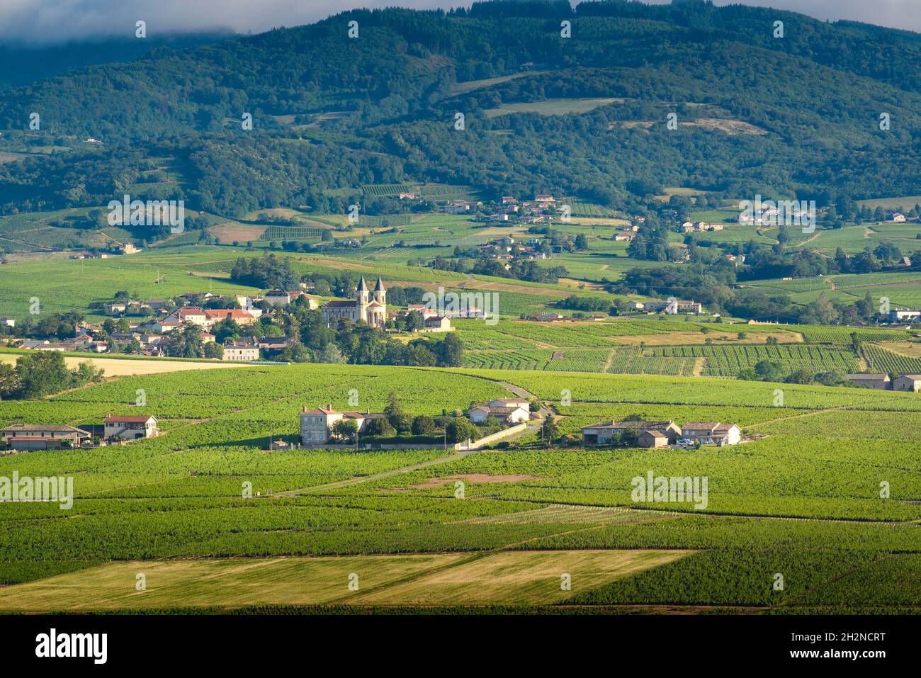 Le village de Régnié-Durette et ses vignes avoisinantes, Beaujolais ...
