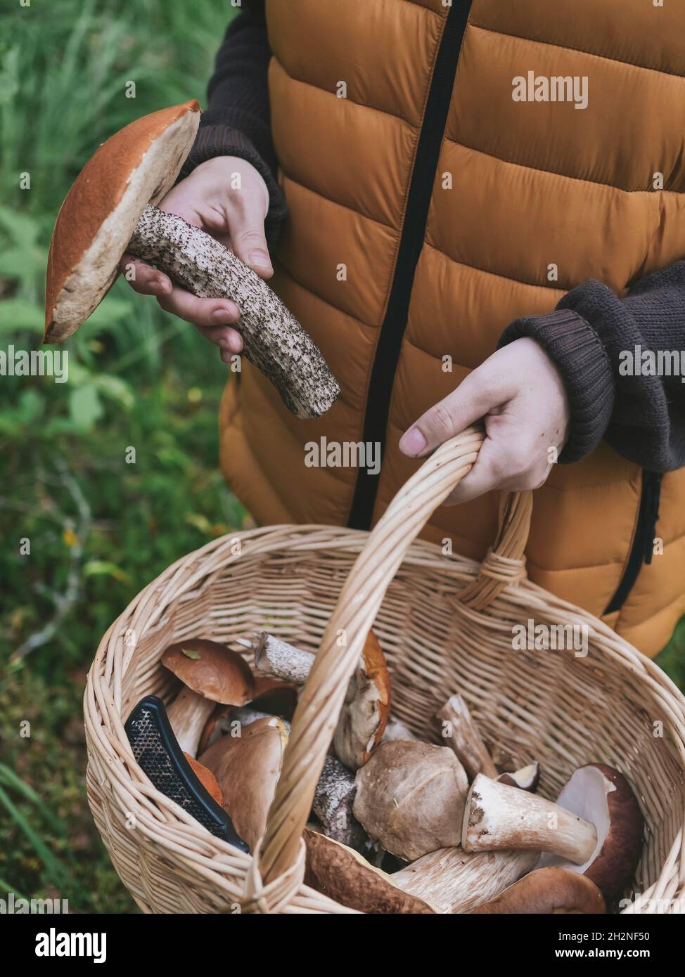 Woman holding wicker basket hi-res stock photography and images - Alamy