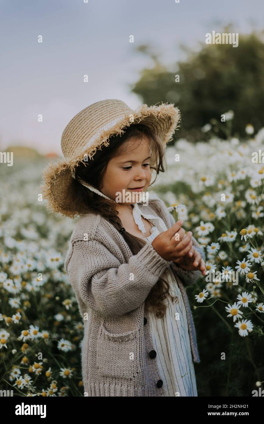Child girl chamomile field hi-res stock photography and images - Alamy