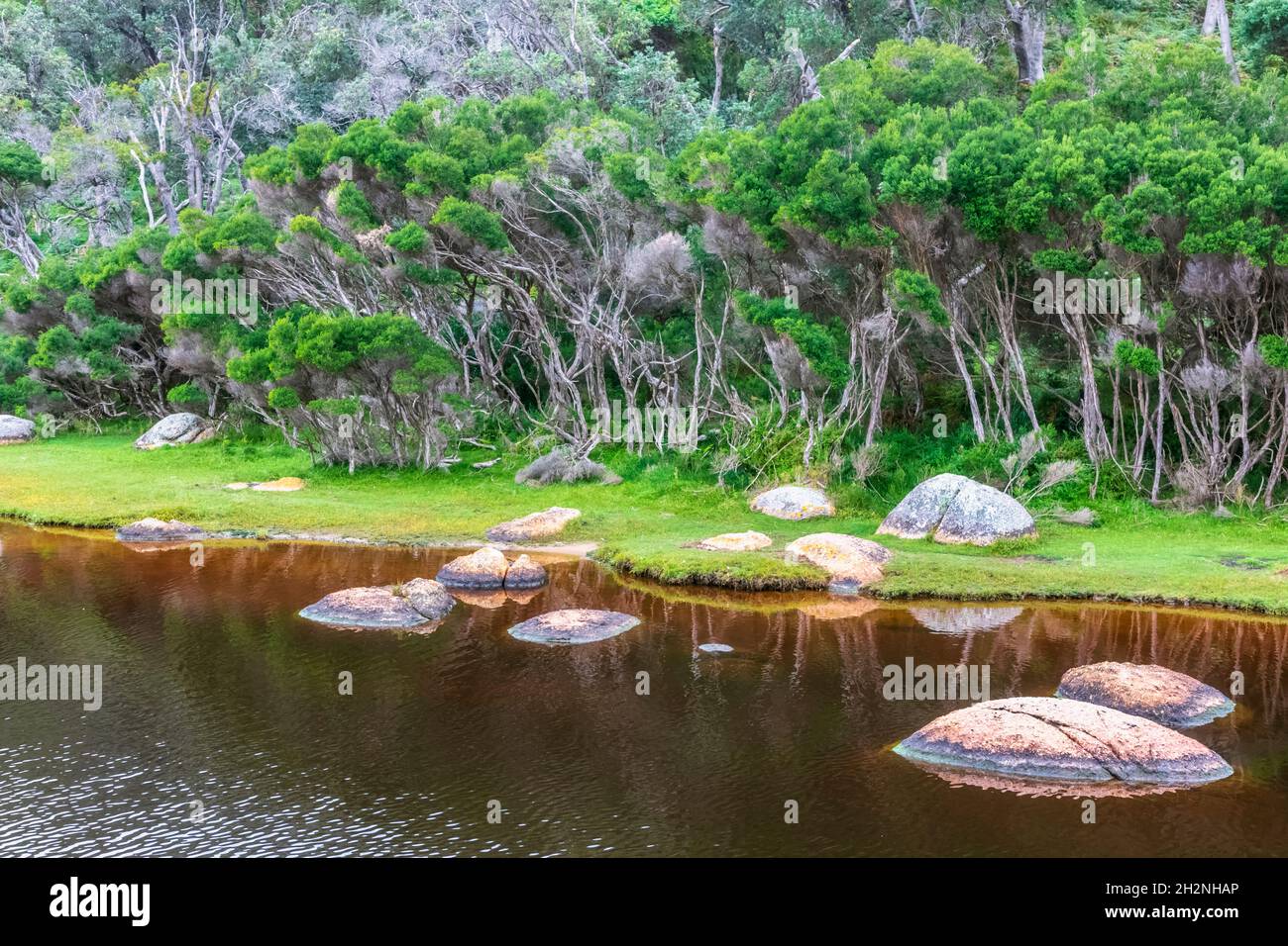Summer sun shining over coastal boardwalk, Australia Stock Photo