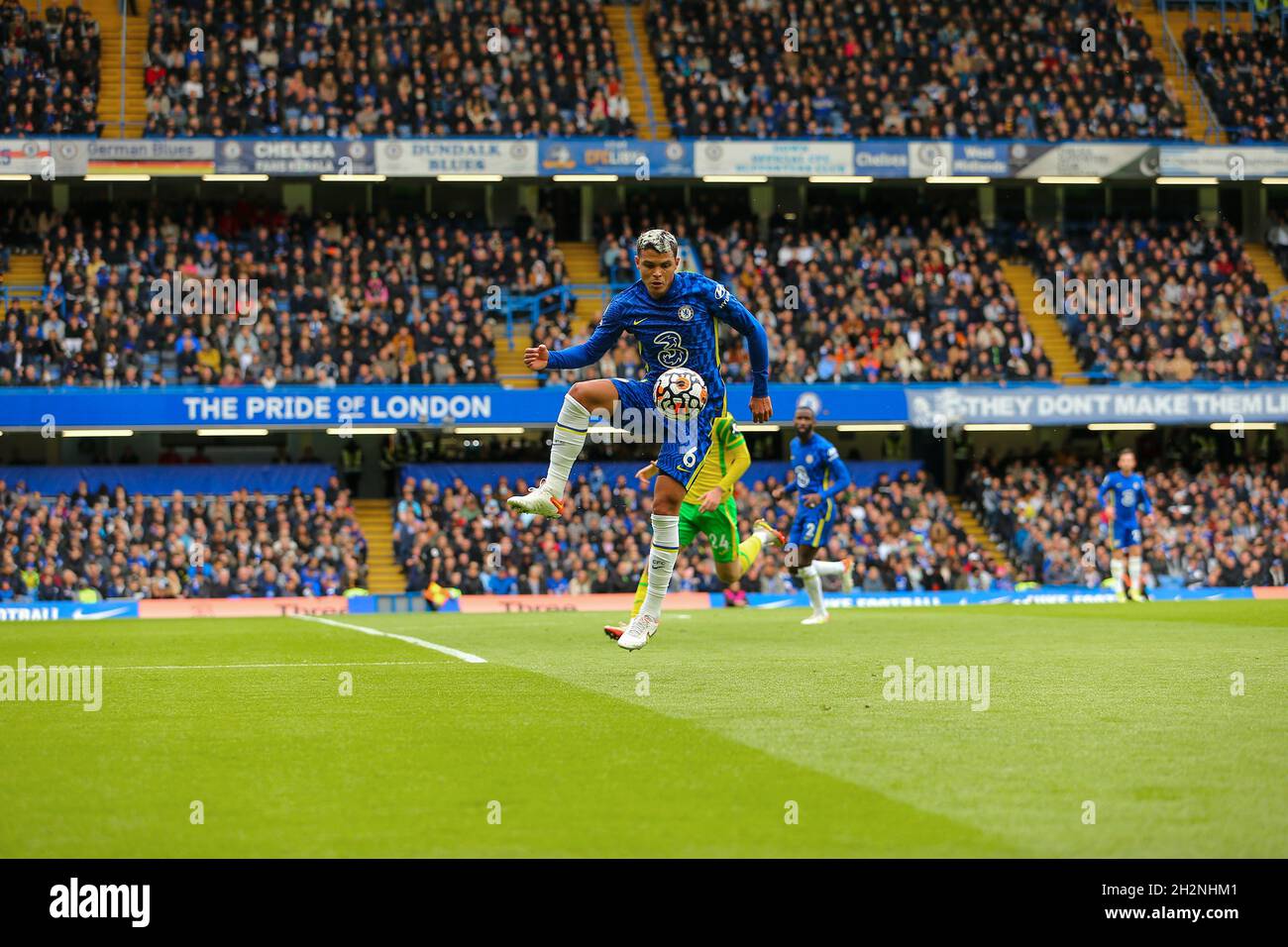 The pride of London. : r/chelseafc