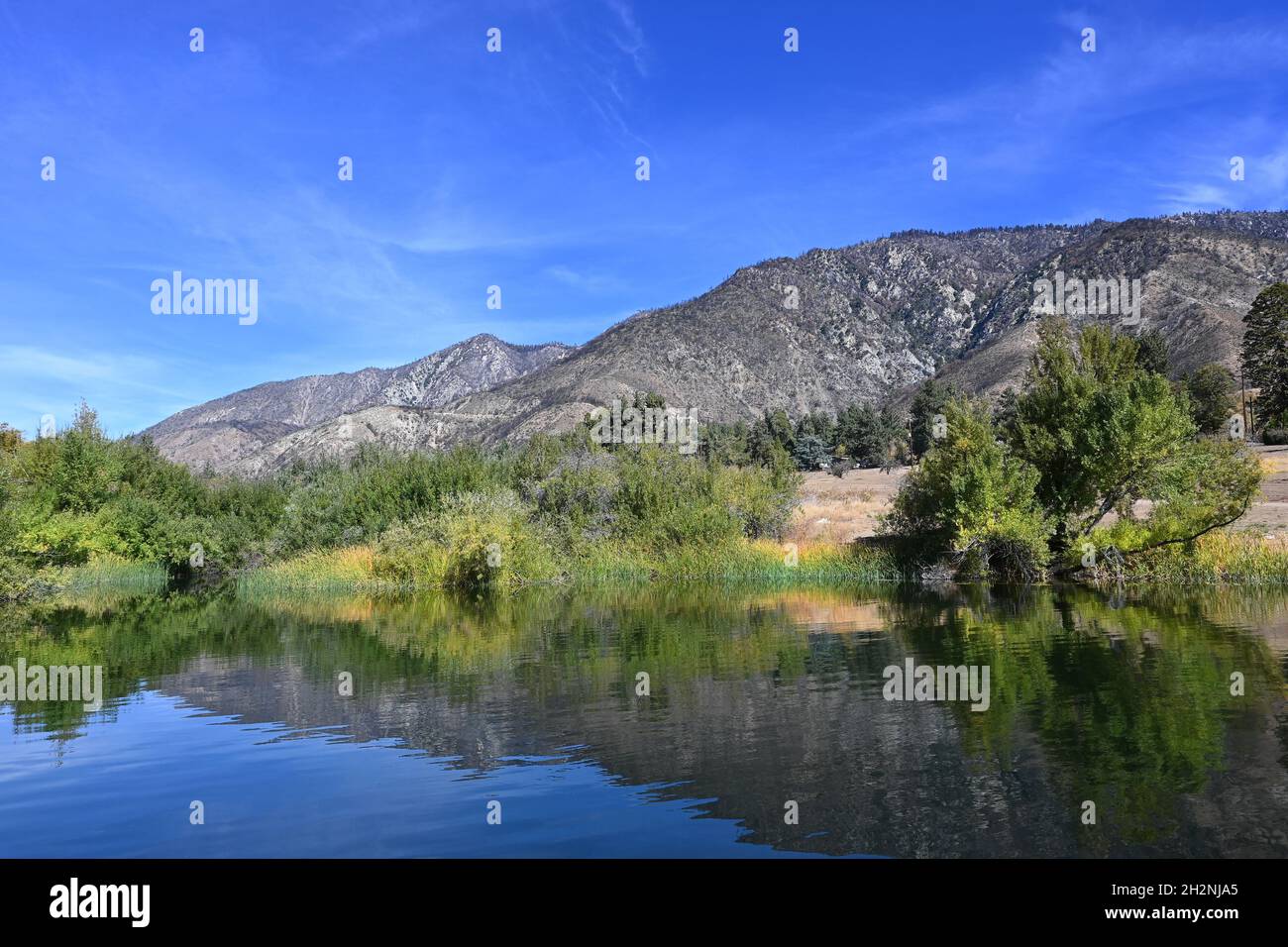 Red-Wing Pond at the Wildlands Conservancy Oak Glen Preserve in the foothills of the San Bernardino Mountains. Stock Photo