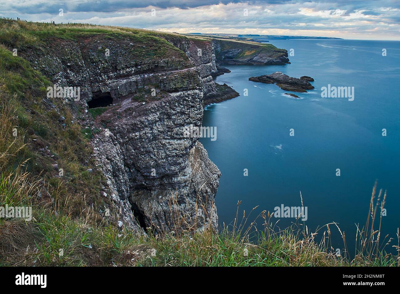 Long exposure with ND filter of coastal cliffs with distant nesting Kittiwakes at RSPB Fowseleugh Kincardineshire UK Stock Photo