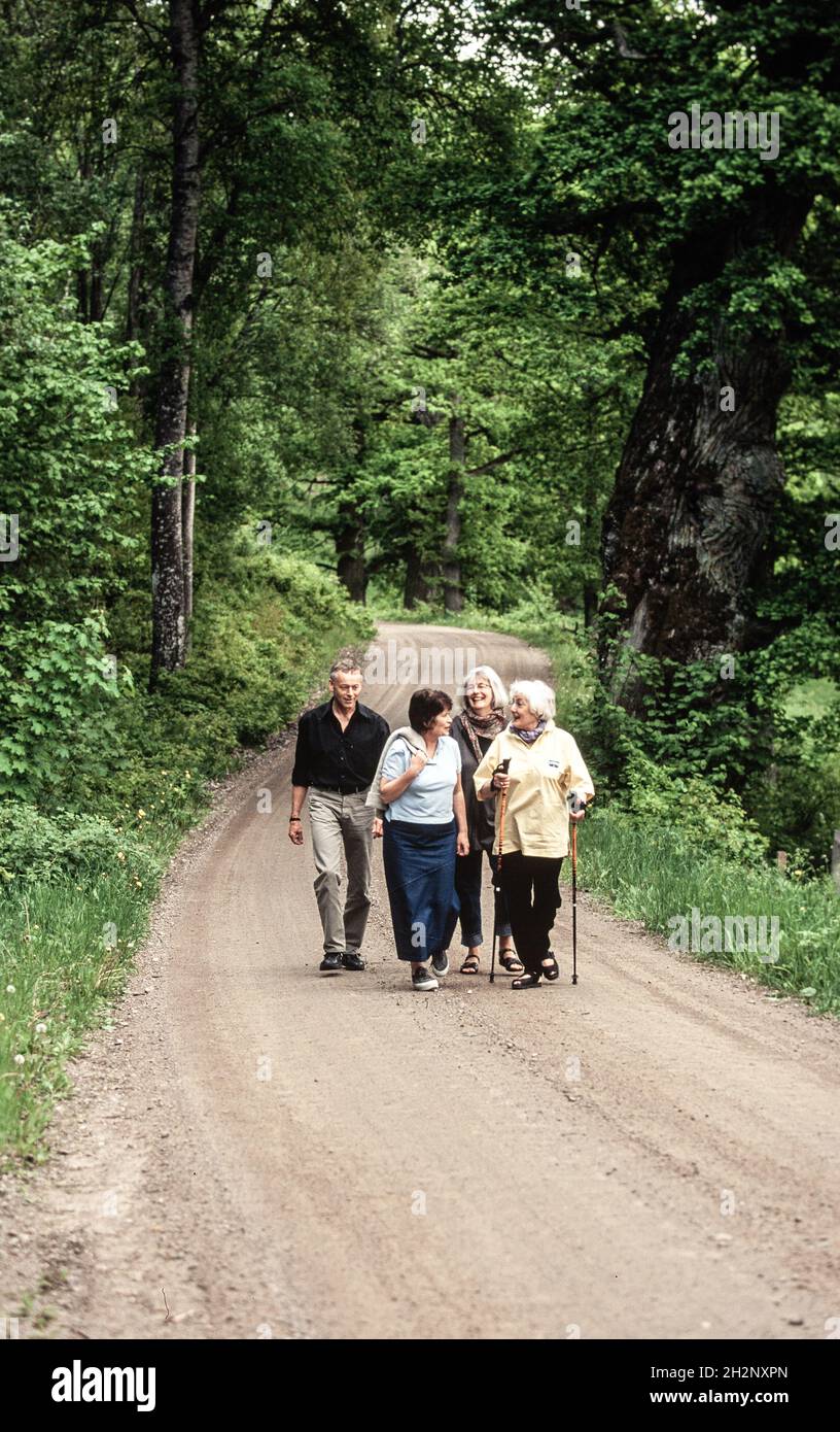Seniors walking on a forest road in summer Stock Photo - Alamy