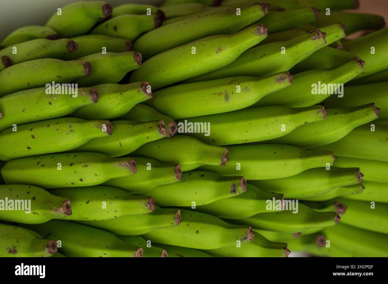 A banana is an elongated, edible fruit botanically a berry produced by