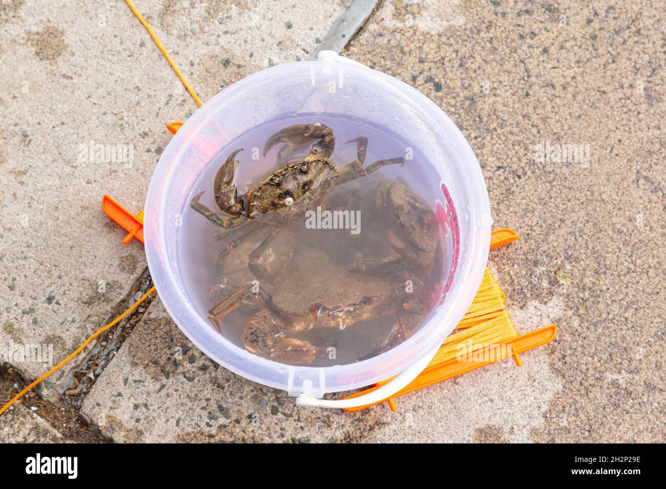 Catching bucket hires stock photography and images Alamy