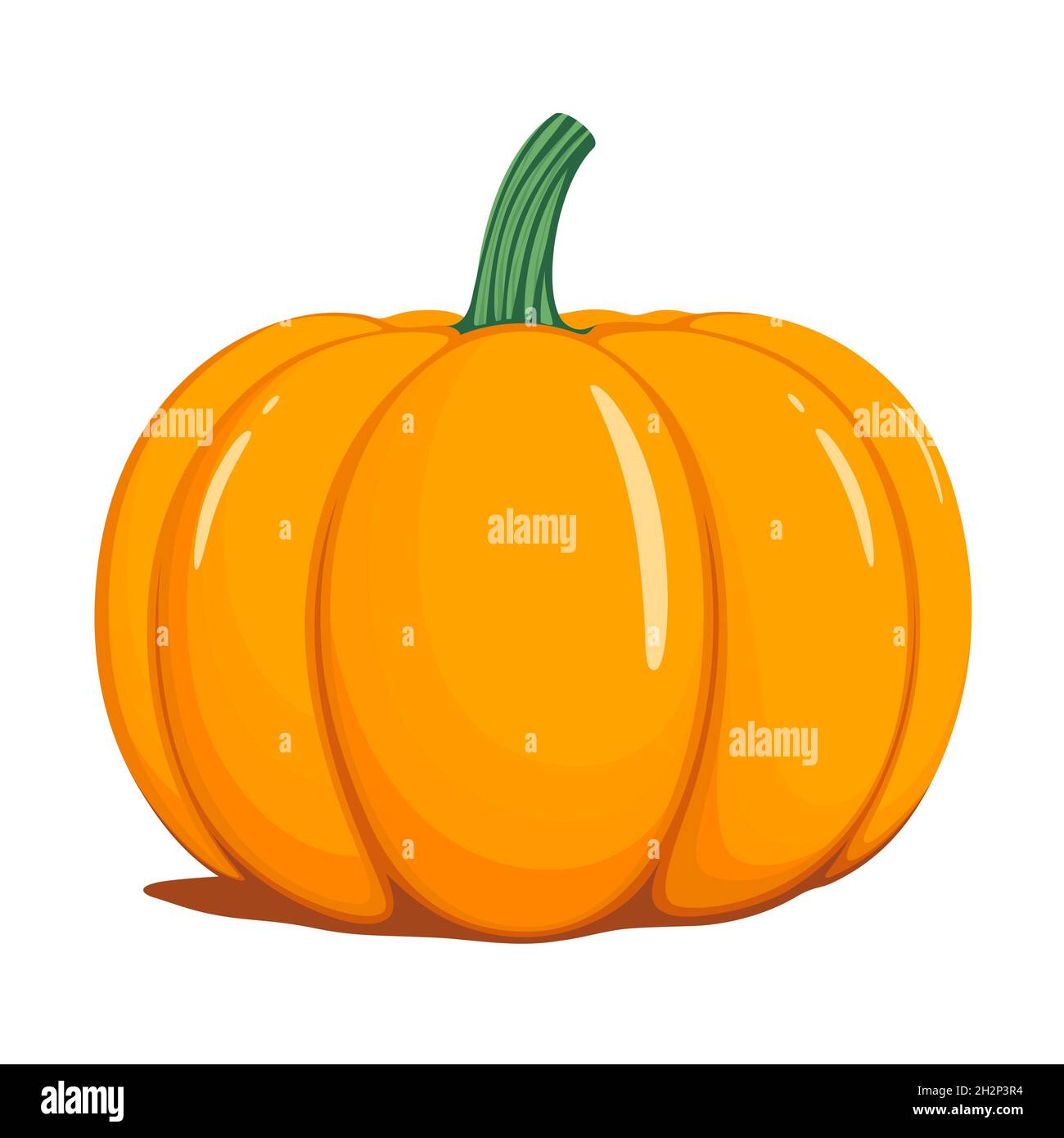 Pumpkin vector illustration, isolated on white background. Stock Vector