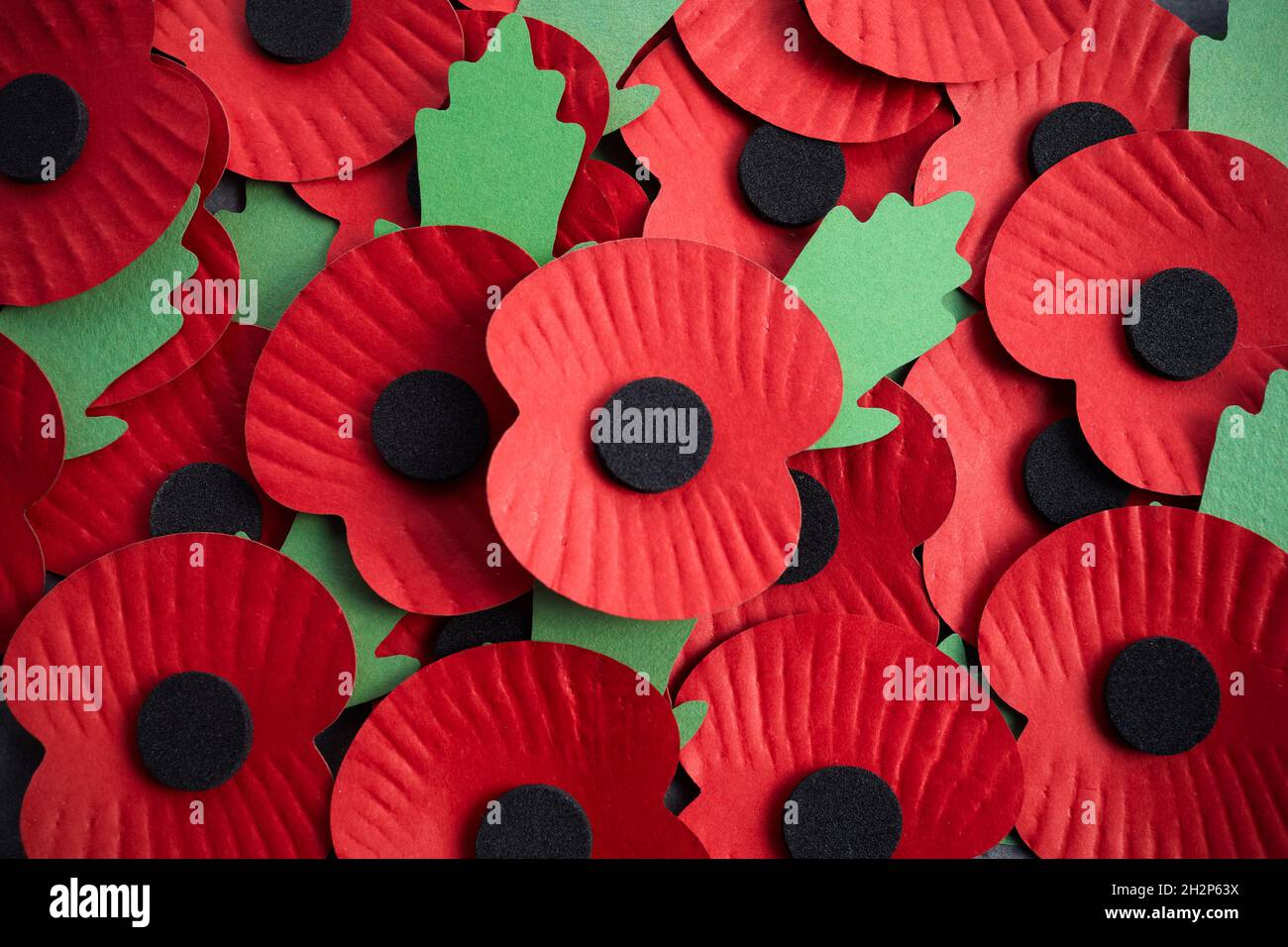 World War remembrance day. Red poppy is symbol of remembrance to those