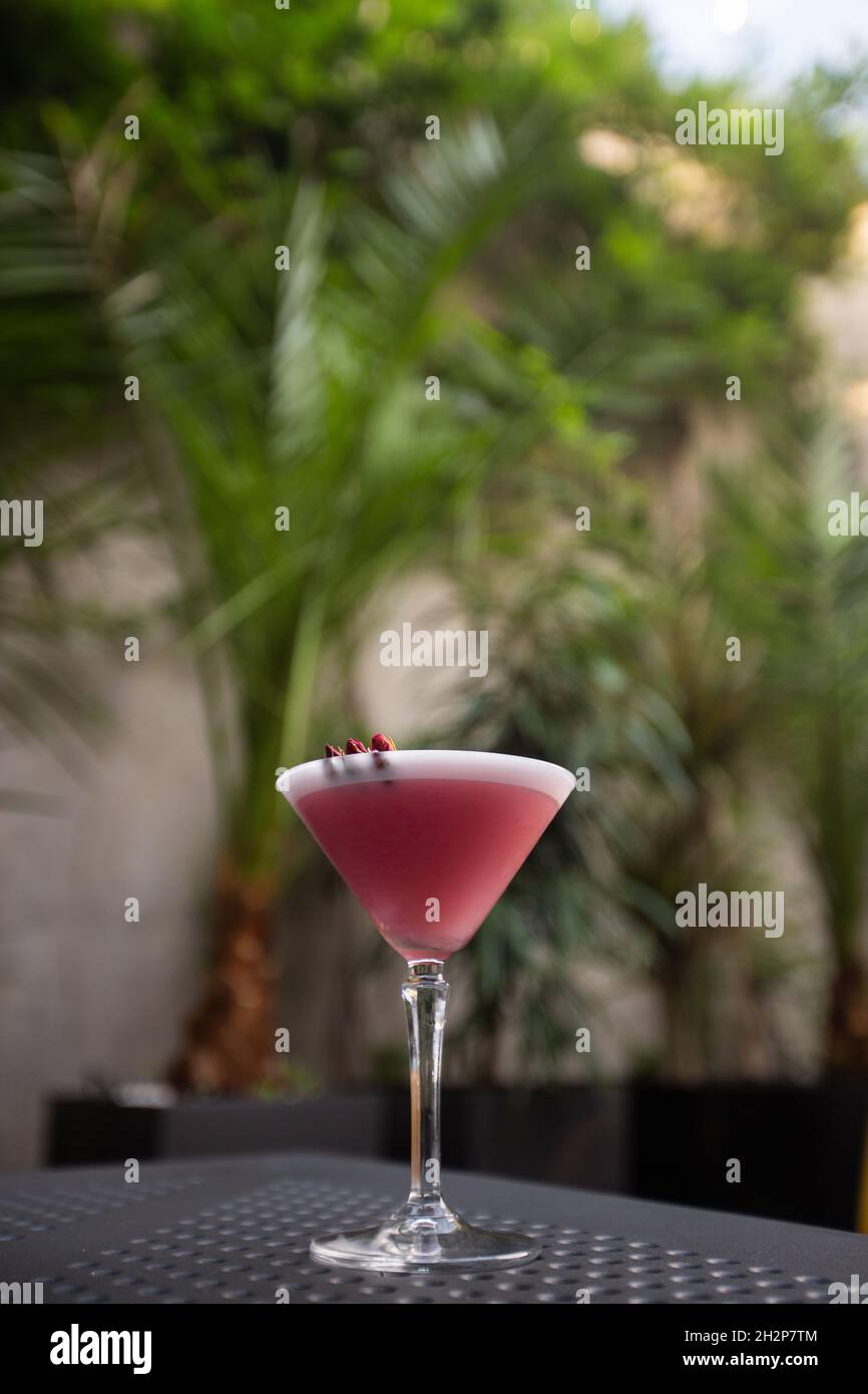 https://c8.alamy.com/comp/2H2P7TM/pink-clover-club-cocktail-in-martini-glass-with-layer-of-foam-and-flower-garnish-isolated-on-bright-background-2H2P7TM.jpg