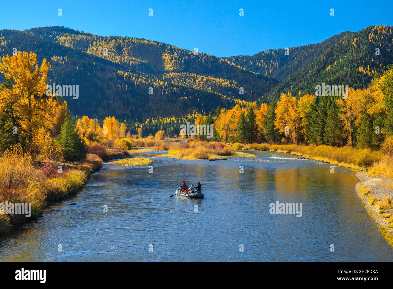 rafters and fall colors along the clark fork river at beavertail hill state park near clinton, montana Stock Photo