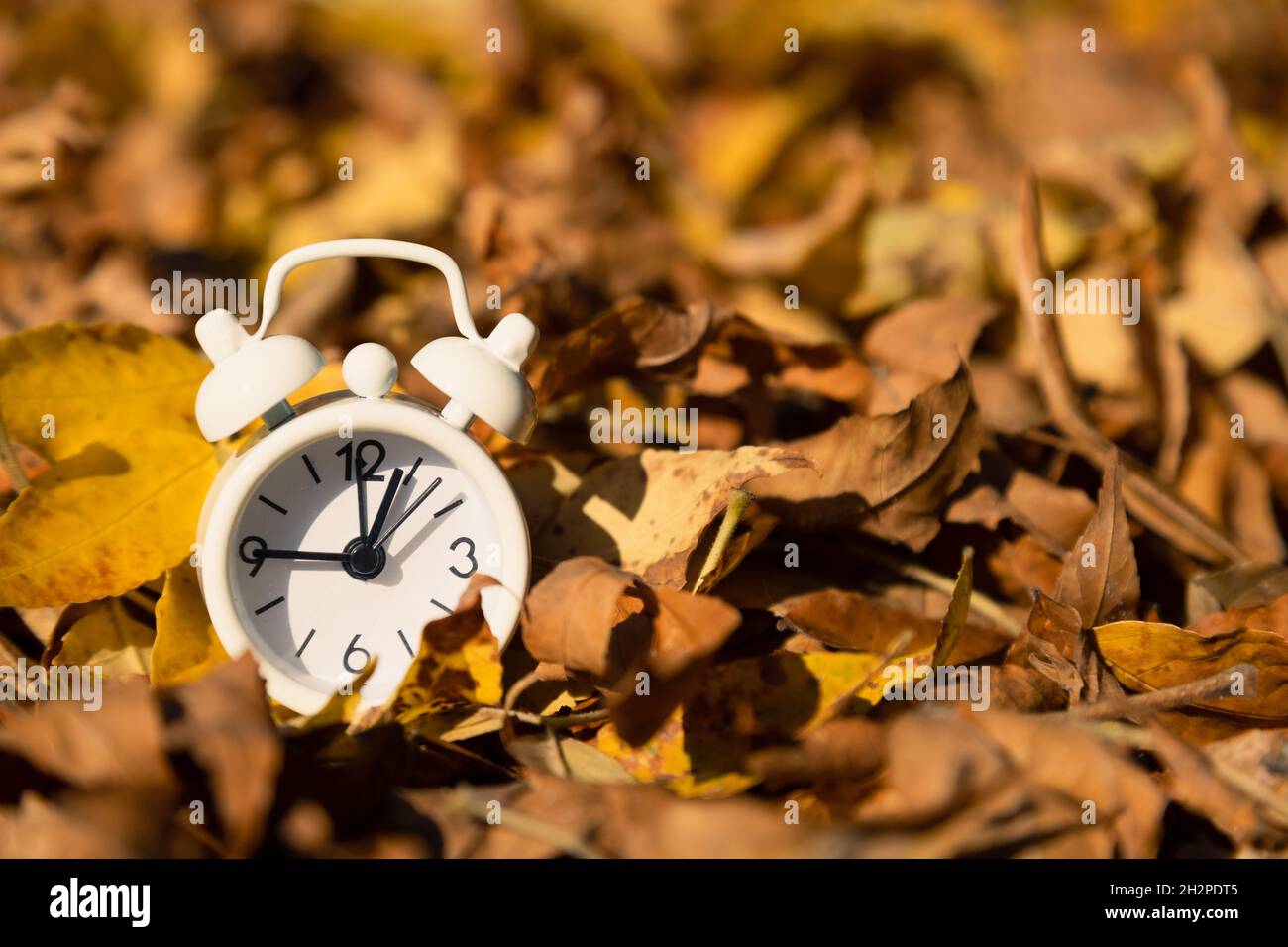 Autumn mood. White vintage alarm clock and yellow falling leaves Stock Photo