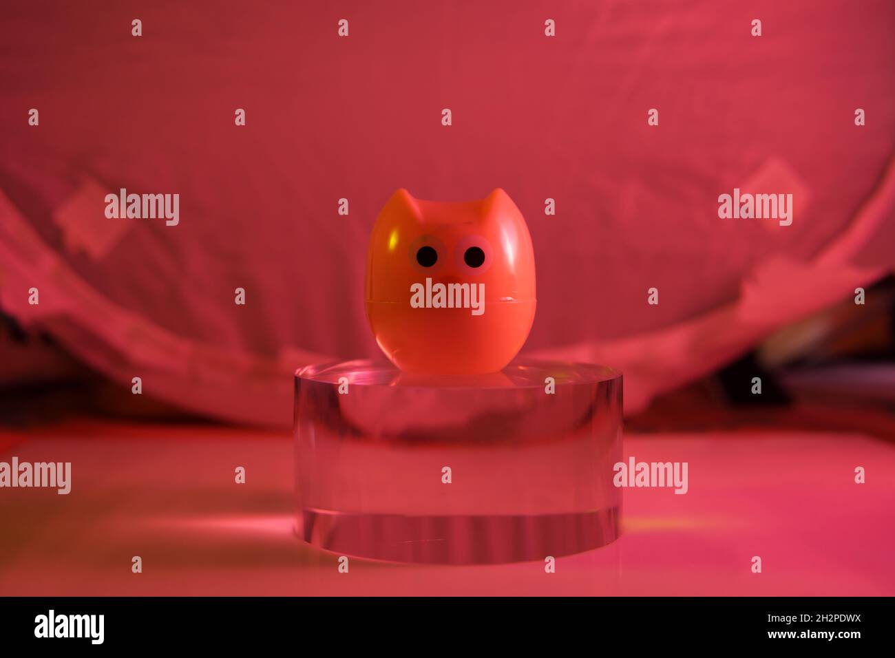 plastic owl toy on the glass cylinder the color background Stock Photo