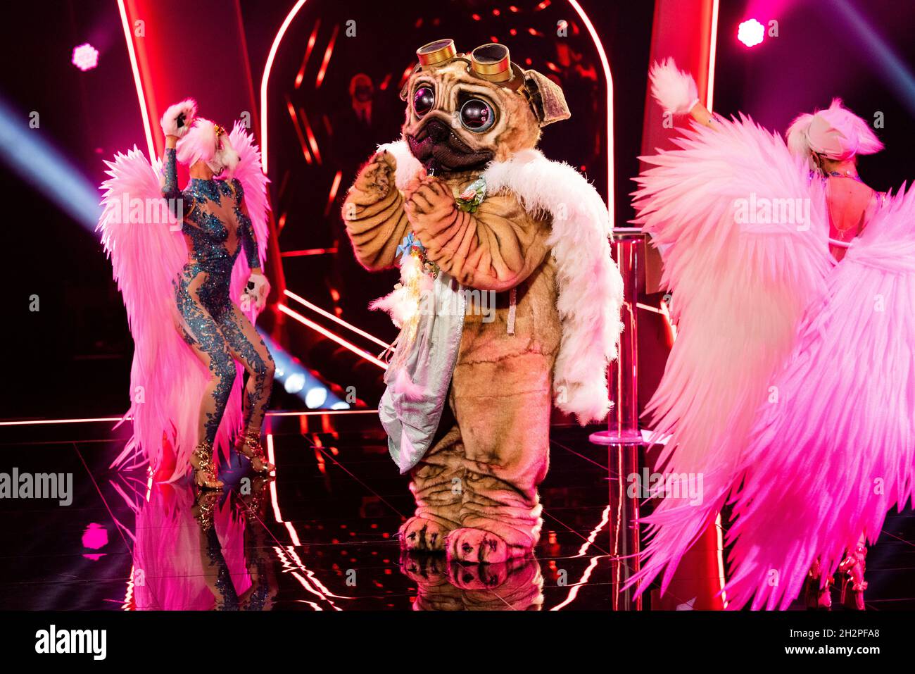Cologne, Germany. 23rd Oct, 2021. The character "The Pug" is on stage in the  Prosieben show "The Masked Singer". Credit: Rolf Vennenbernd/dpa/Alamy Live  News Stock Photo - Alamy