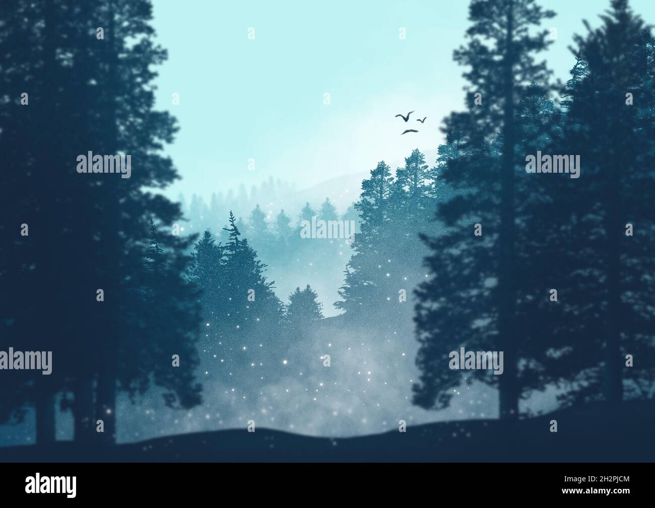 Illustration of high dense trees in the forest on a foggy day Stock ...