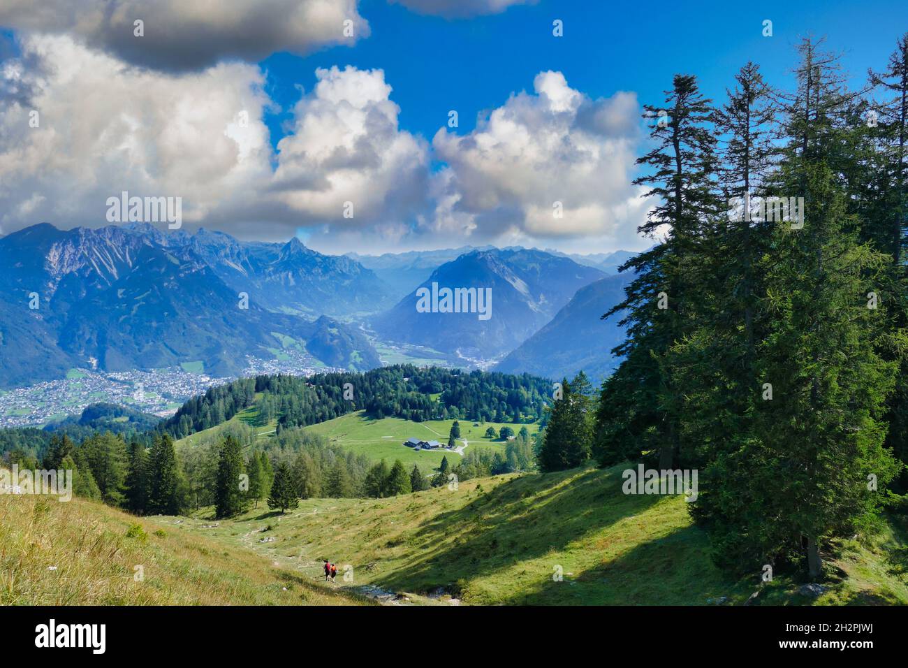 Alpine landscape with meadows, pine forests, farmhouses and a deep ...