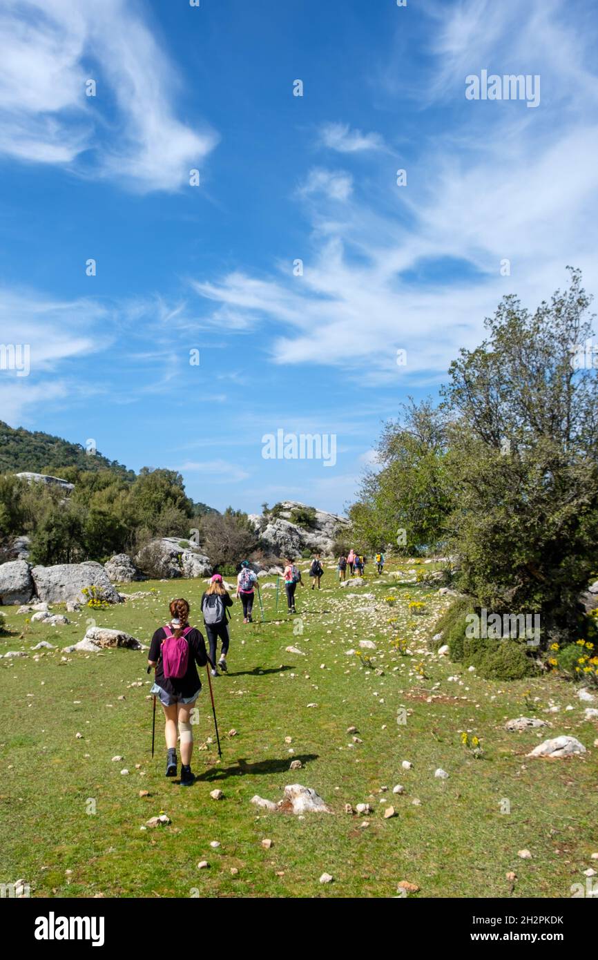 lady hiking group at walking at hill Stock Photo Alamy