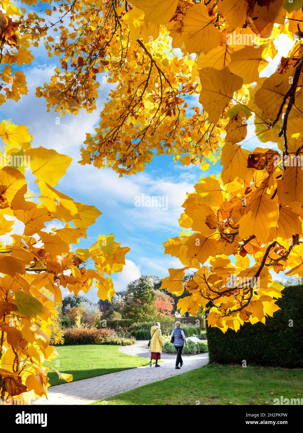 AUTUMN Wisley Gardens Surrey fabulous autumn colours with two ladies strolling in sunny open gardens Surrey UK Stock Photo