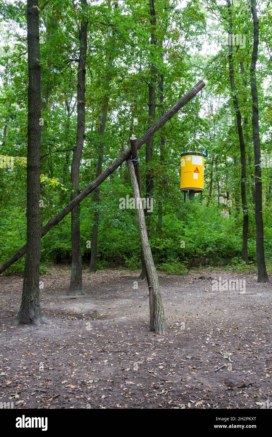 Automatic game deer feeder installed on long trunks in forest