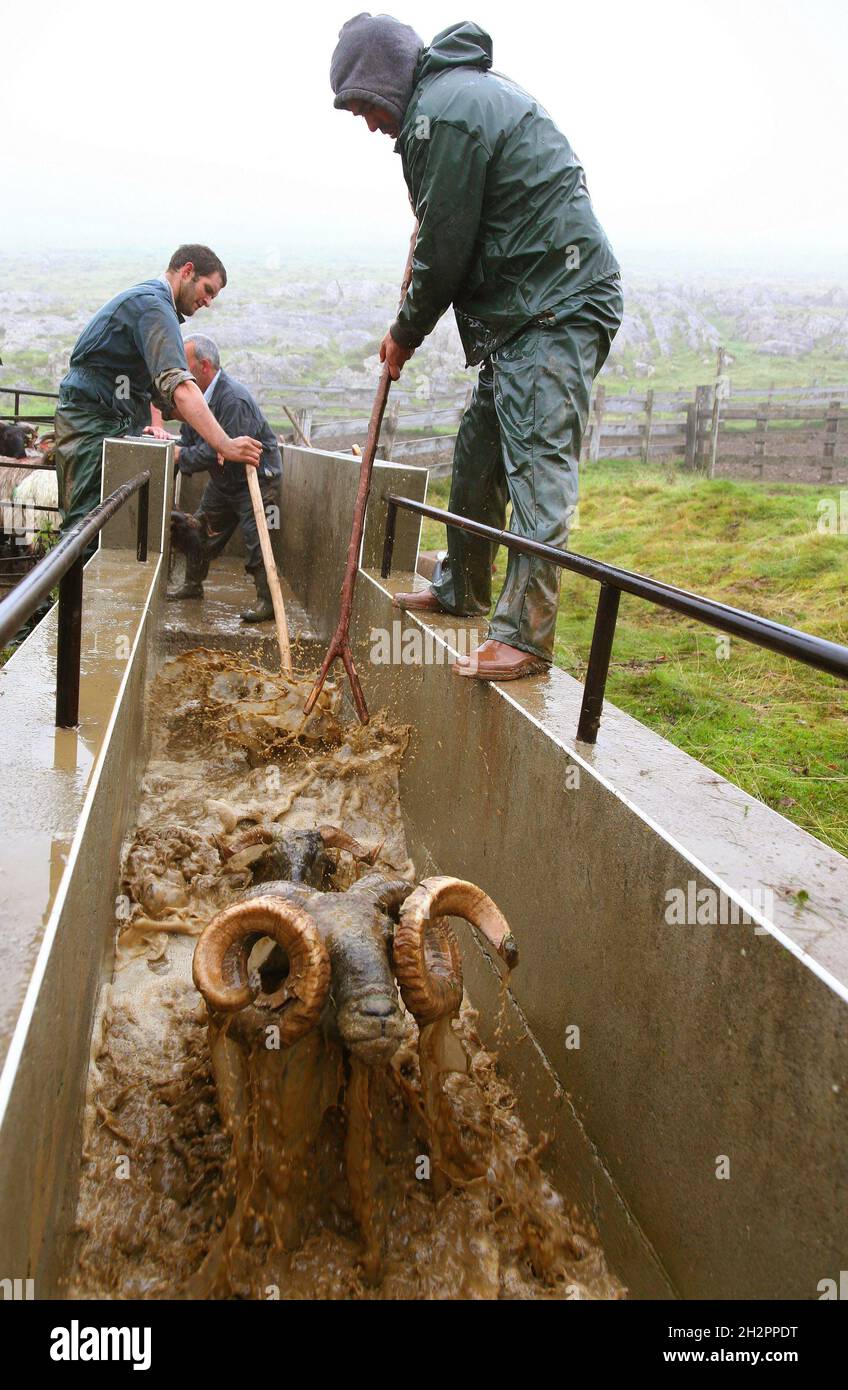 FRANCE, PYRENEES ATLANTIQUES (64), BASQUE COUNTRY, SANITARY BATH OF ...