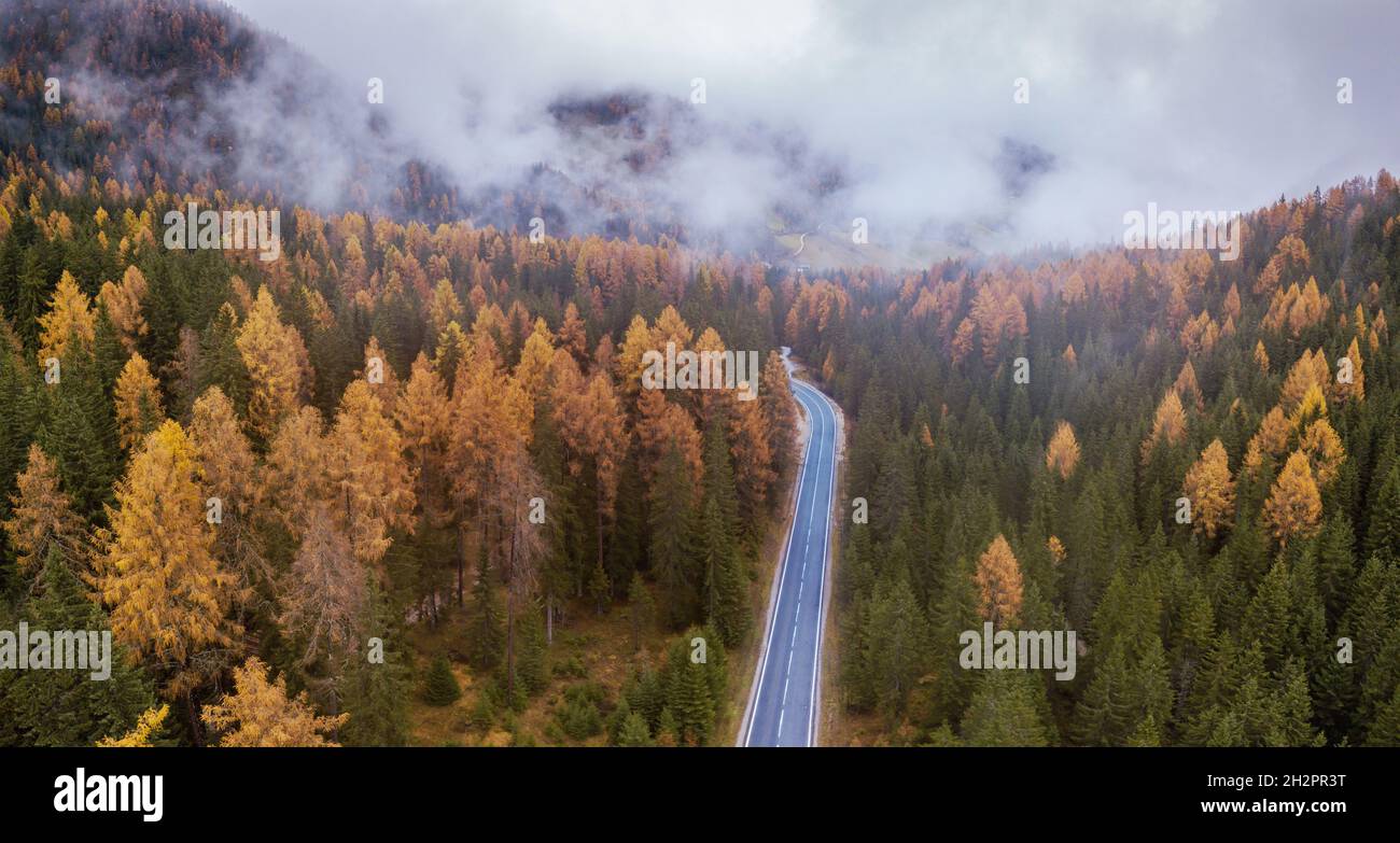 Road in misty forest aerial hi-res stock photography and images - Alamy