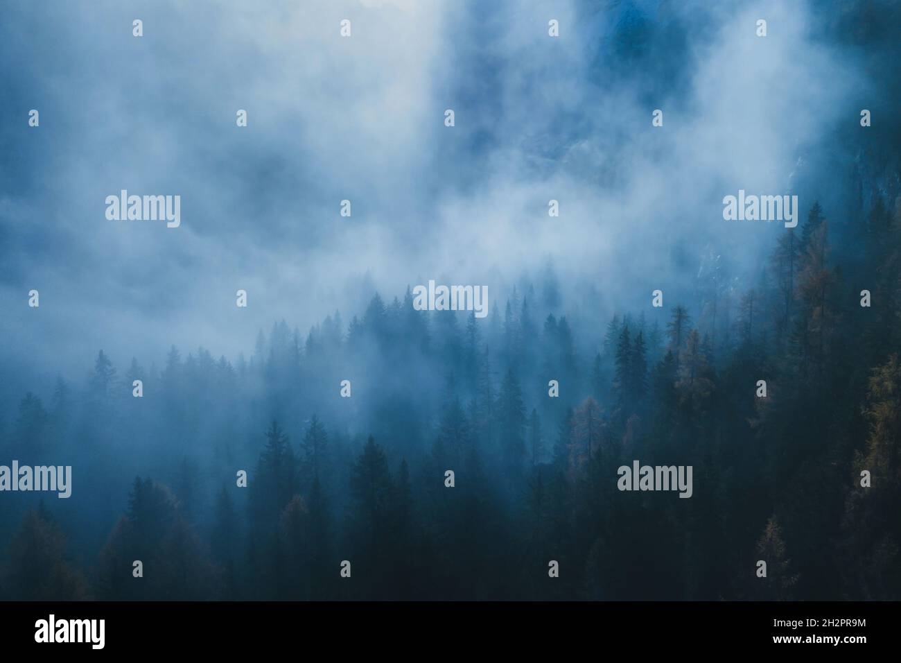 Mysterious misty forest aerial view hi-res stock photography and images ...