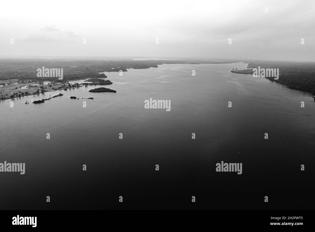 Amazing Amazon and jungle. Black and white photo Stock Photo - Alamy