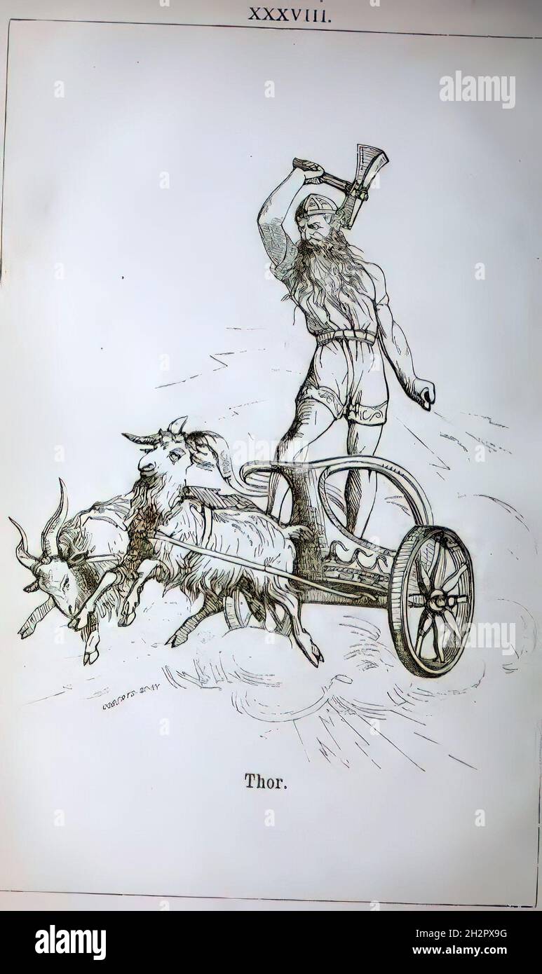 Illustration of Thor on the chariot with goats driving it Stock Photo