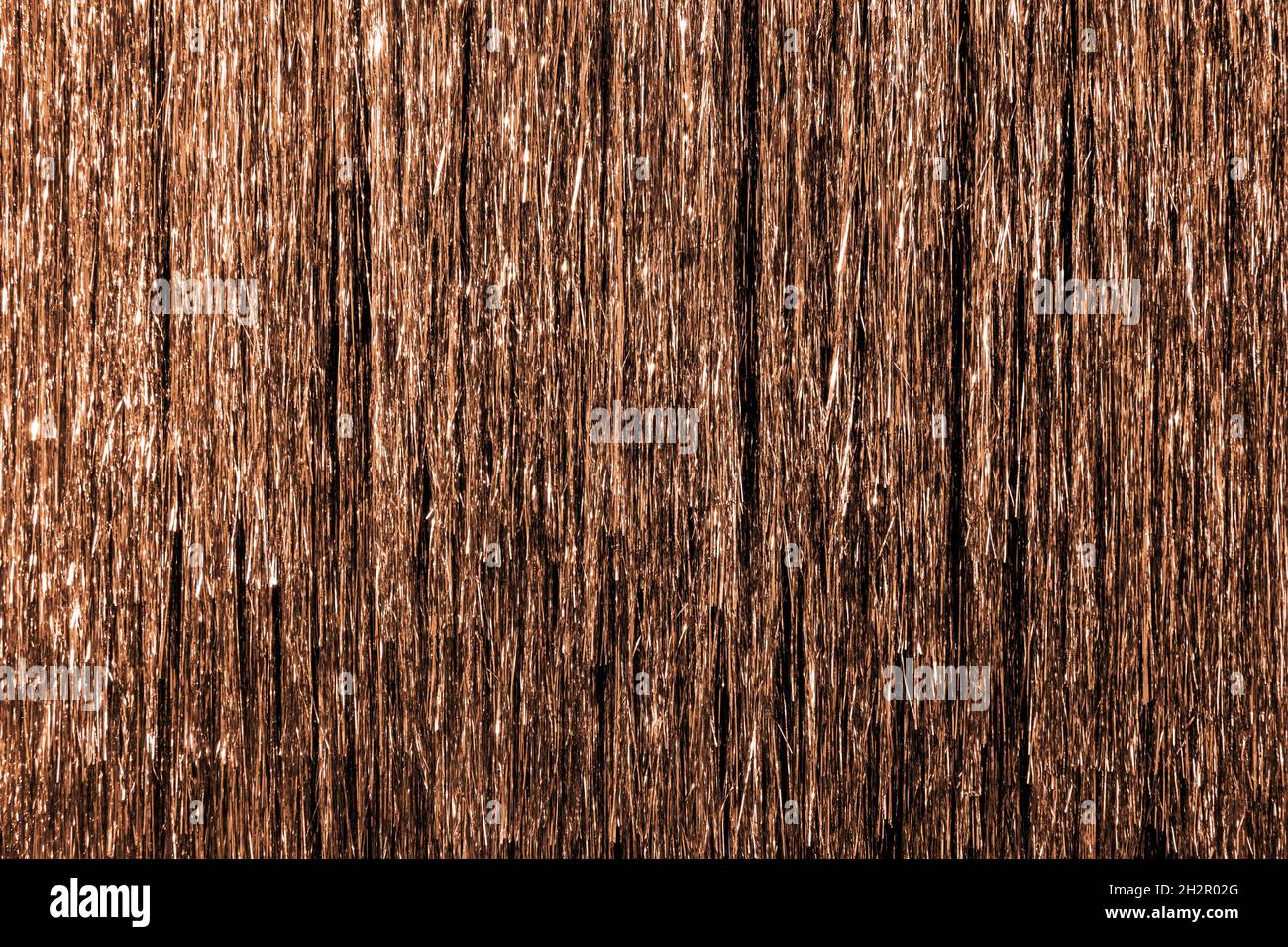 Metallic gold foil tinsel fringe decoration curtain. Birthday, wedding