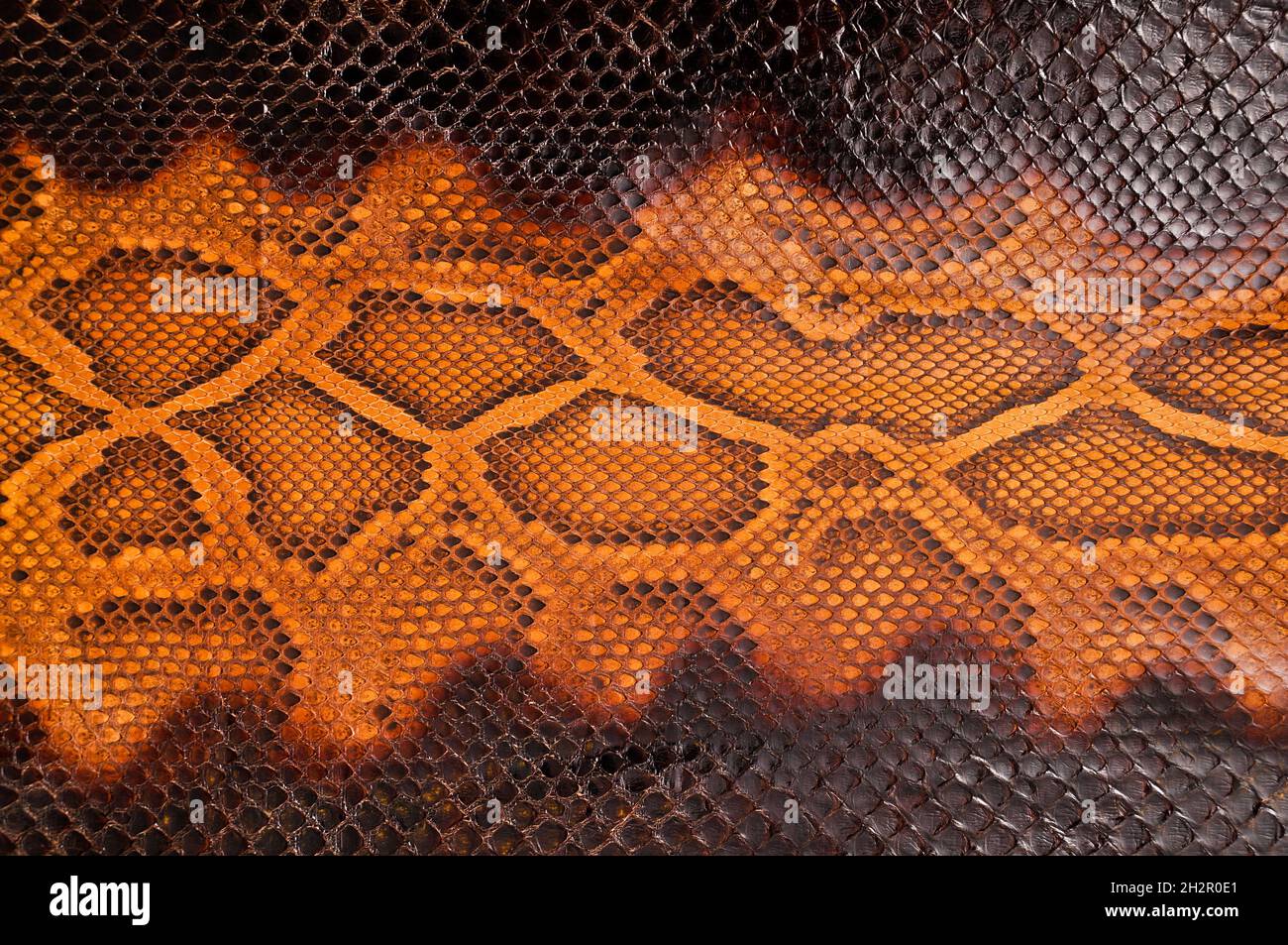 Natural snake skin is used for luxury clothes and accessories, suitable
