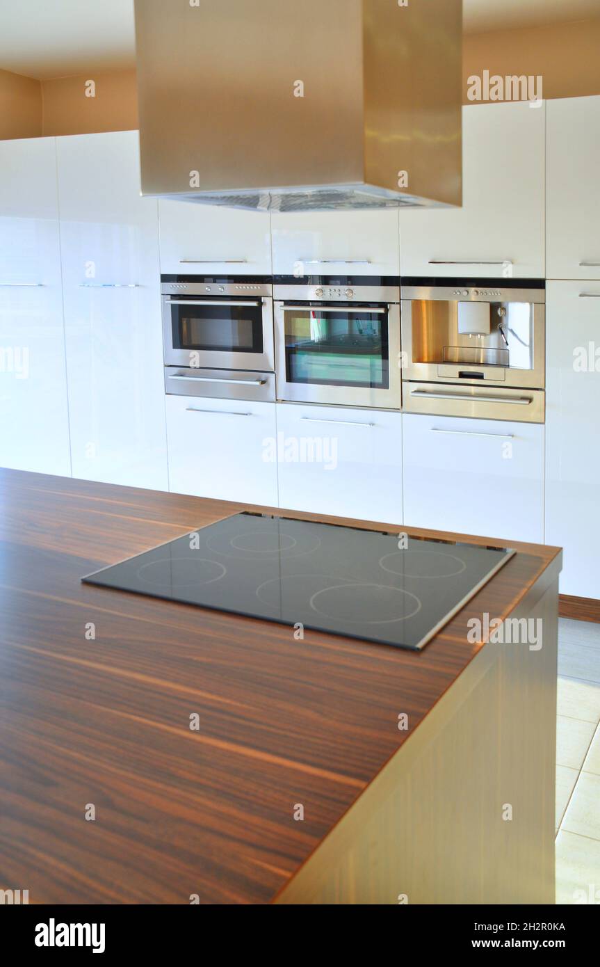 Interior of luxurious modern kitchen equipment, white and walnut