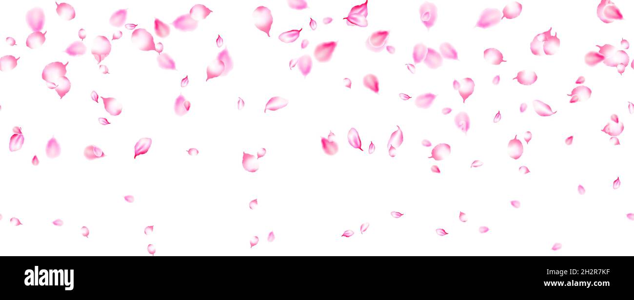 Seamless pink sakura petals. Falling realistic cherry petals Isolated on  white. Japanese funky flowers wallpaper. Perfect for wedding border,  Valentin Stock Vector Image & Art - Alamy