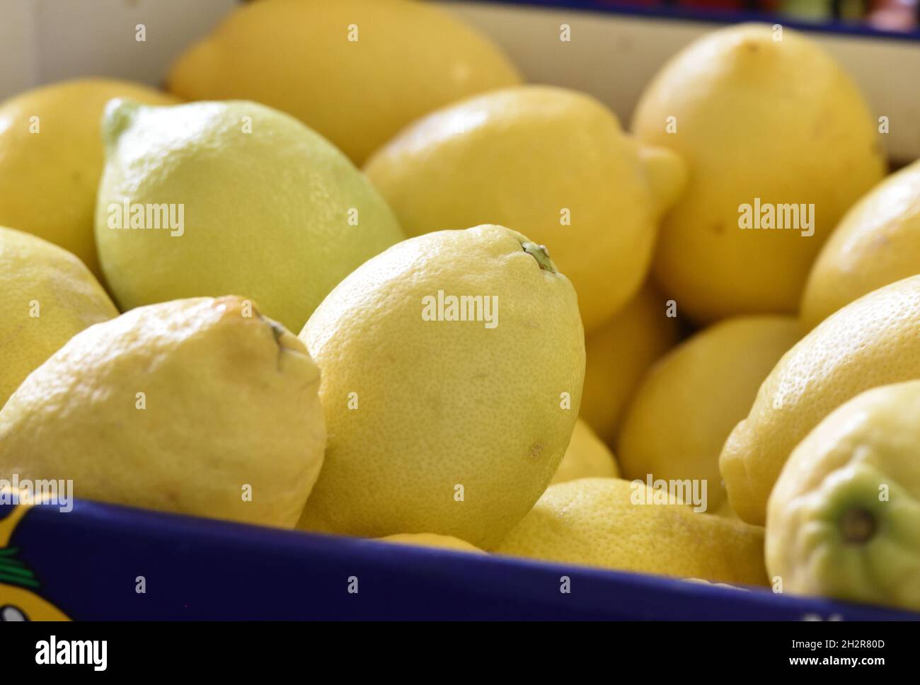 Bucket of lemons for wallpaper and background Stock Photo Alamy