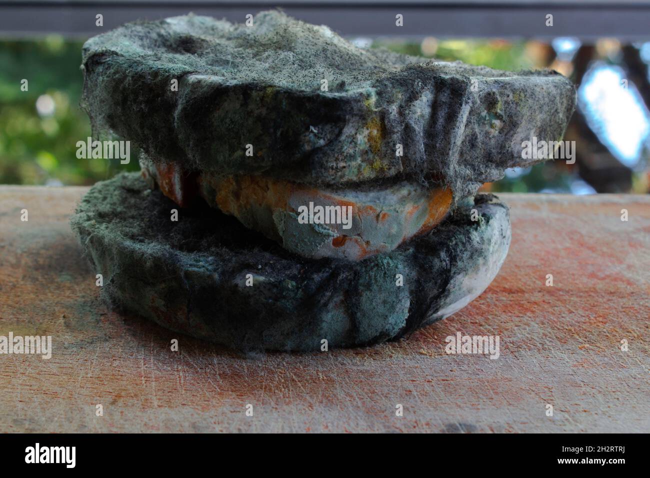 Molde de molde hi-res stock photography and images - Alamy