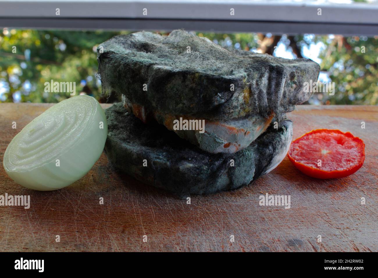 Molde de molde hi-res stock photography and images - Alamy