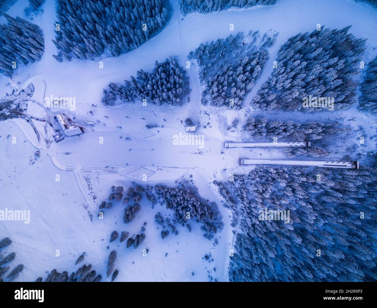 An aerial view of snowy pine forest Stock Photo - Alamy