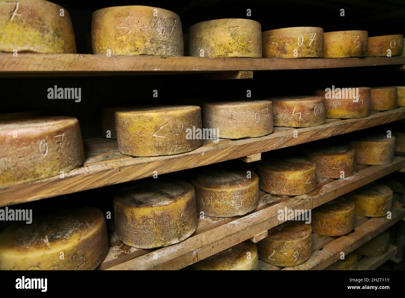FRANCE, PYRENEES ATLANTIQUES (64), BASQUE COUNTRY, REFINEMENT OF CHEESE ...