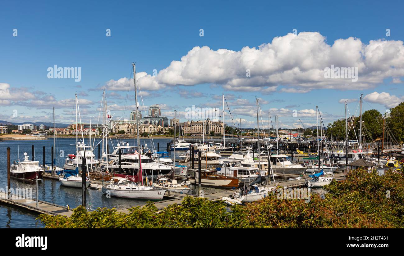 Inner harbour at the morning light. Summertime in Victoria Harbor, British Columbia Stock Photo