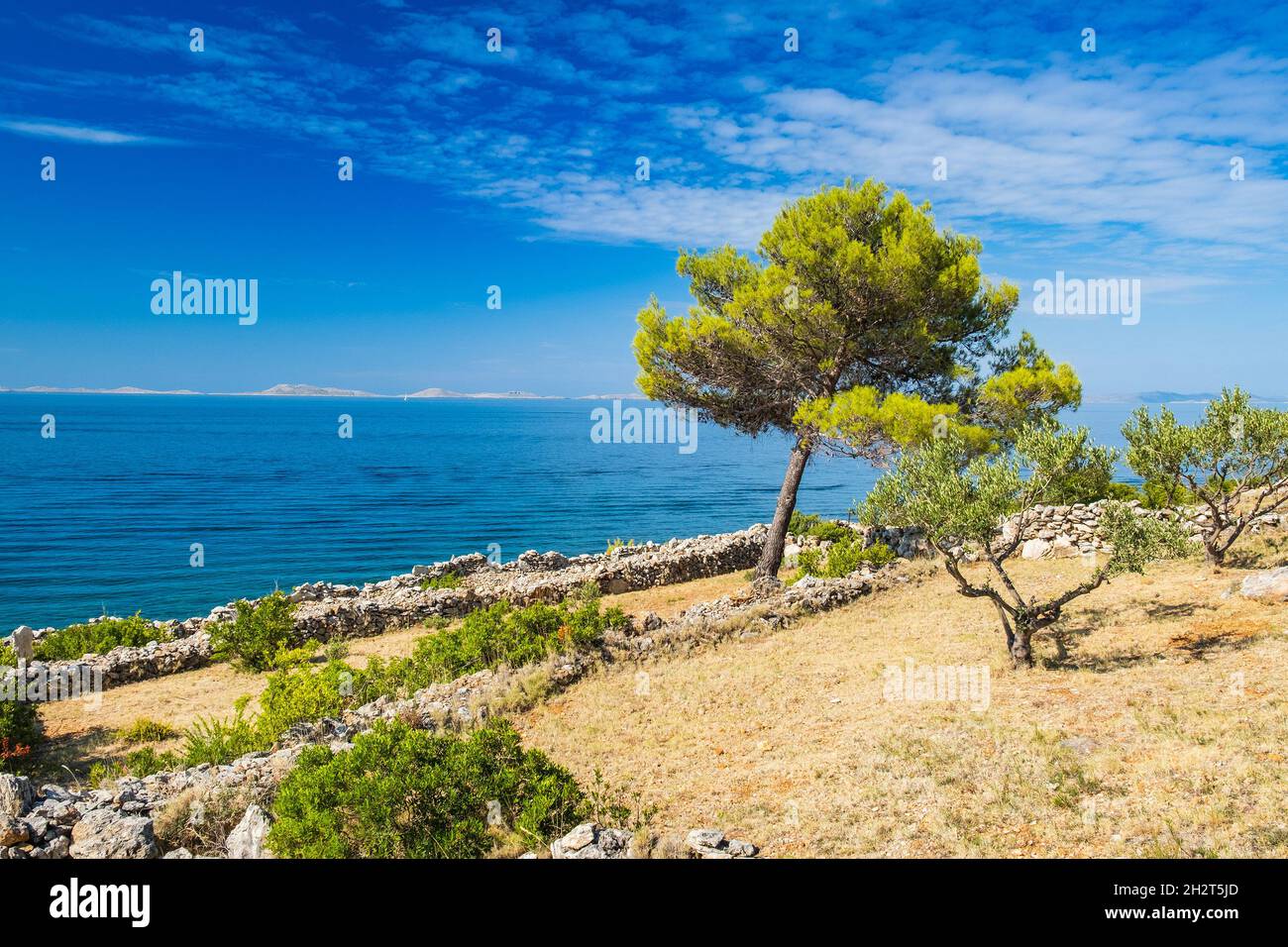 Shore of Murter island archipelago, Dalmatia, Croatia Stock Photo